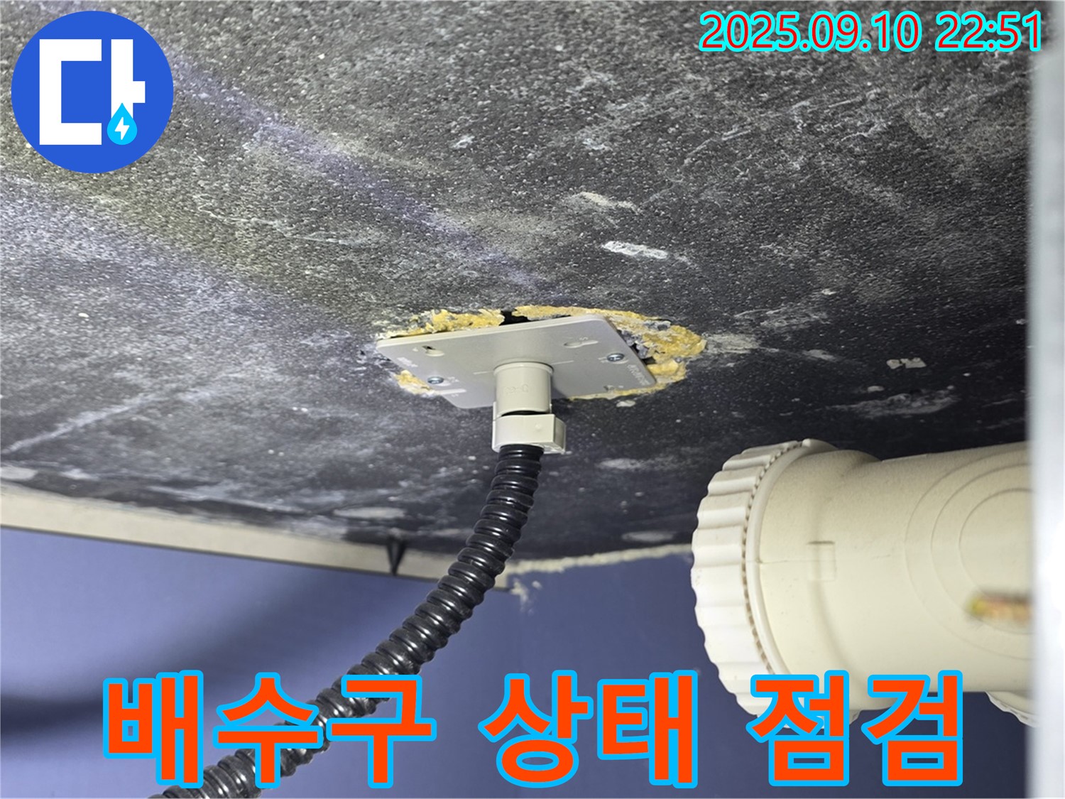 파주시 동패동 아파트 욕조 누수 - 배수구 연결 상태를 꼼꼼하게 점검하는 모습 - 숙련된 기술로 정확하게 진단