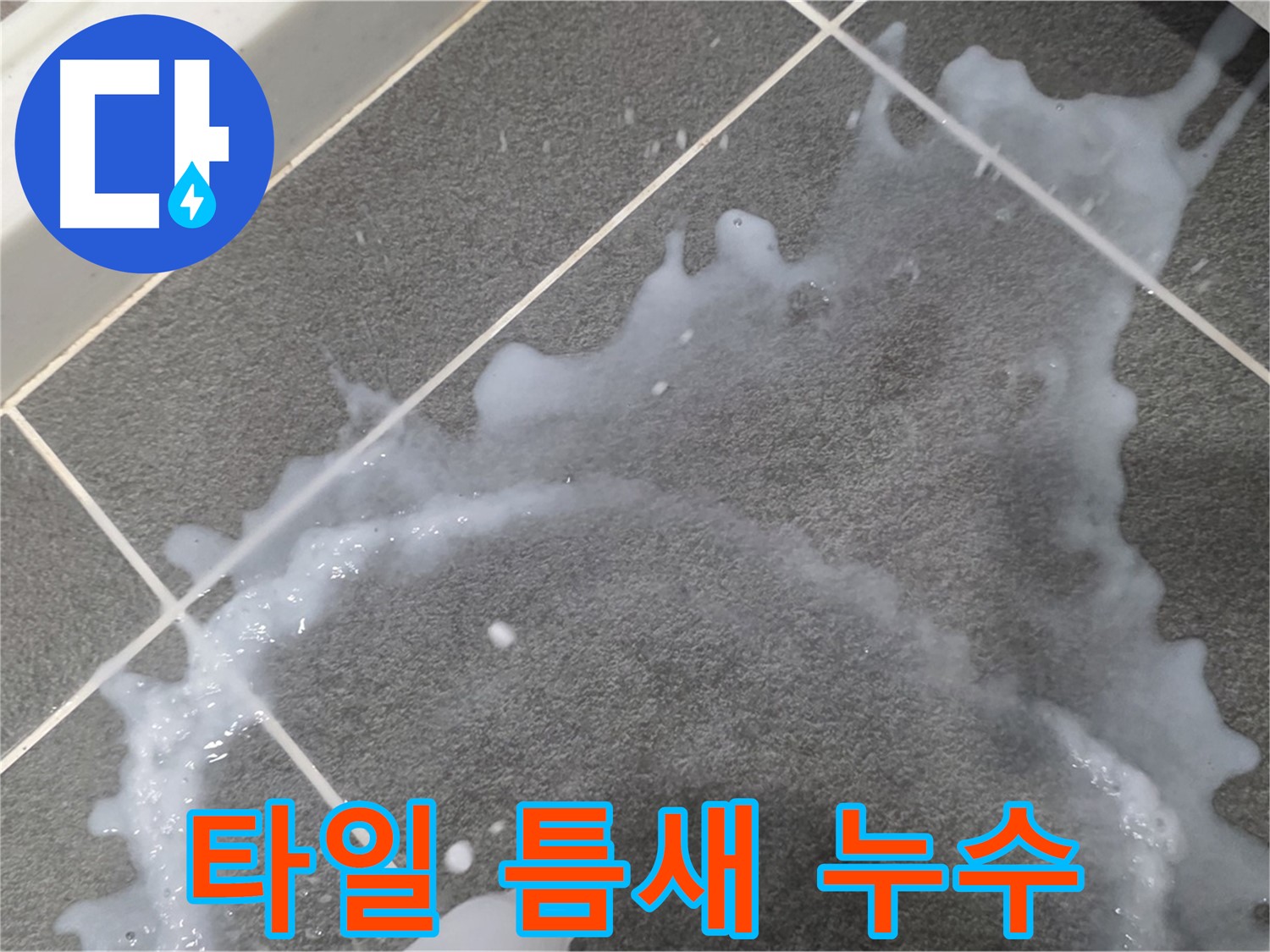 파주시 동패동 아파트 타일 틈새에서 발생하는 누수 - 전문 장비를 이용한 정확한 누수 위치 탐지 및 해결.