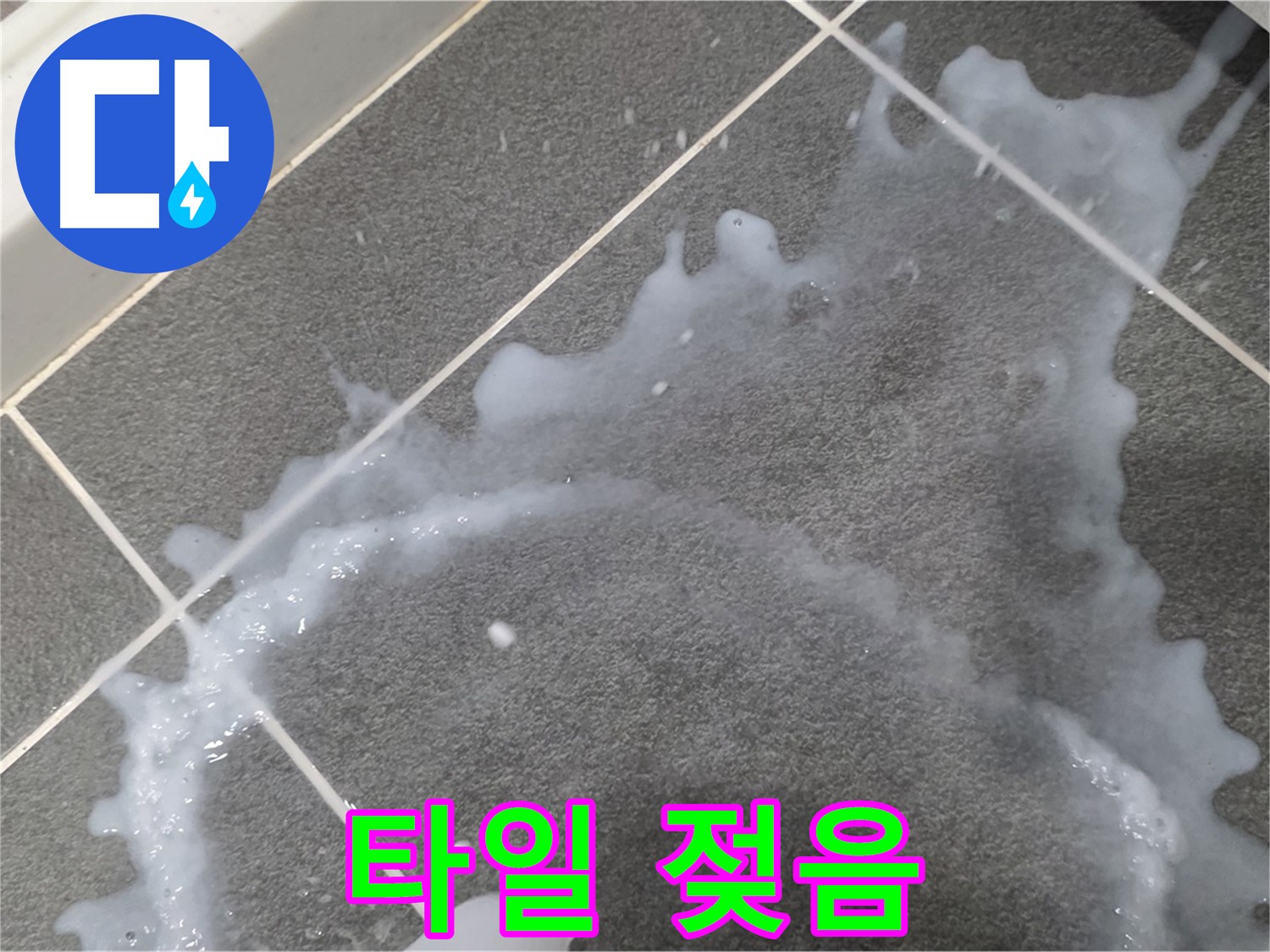 파주시 동패동 운정어반프라임 1201동 아파트 타일 젖음 - 긴급 누수 진단 전문가가 정확한 원인을 찾아 신속하게 해결합니다.