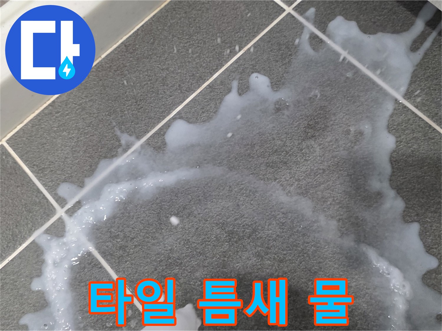 파주시 동패동 운정어반프라임 1201동 아파트 타일 틈새 물기 - 초기 누수 발견, 빠른 누수탐지로 해결