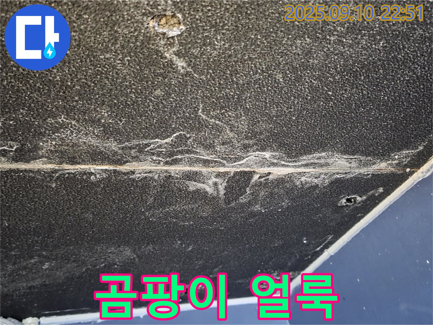 파주시 동패동 운정어반프라임 아파트 천장 - 곰팡이 얼룩이 심각한 천장 누수 현장입니다.