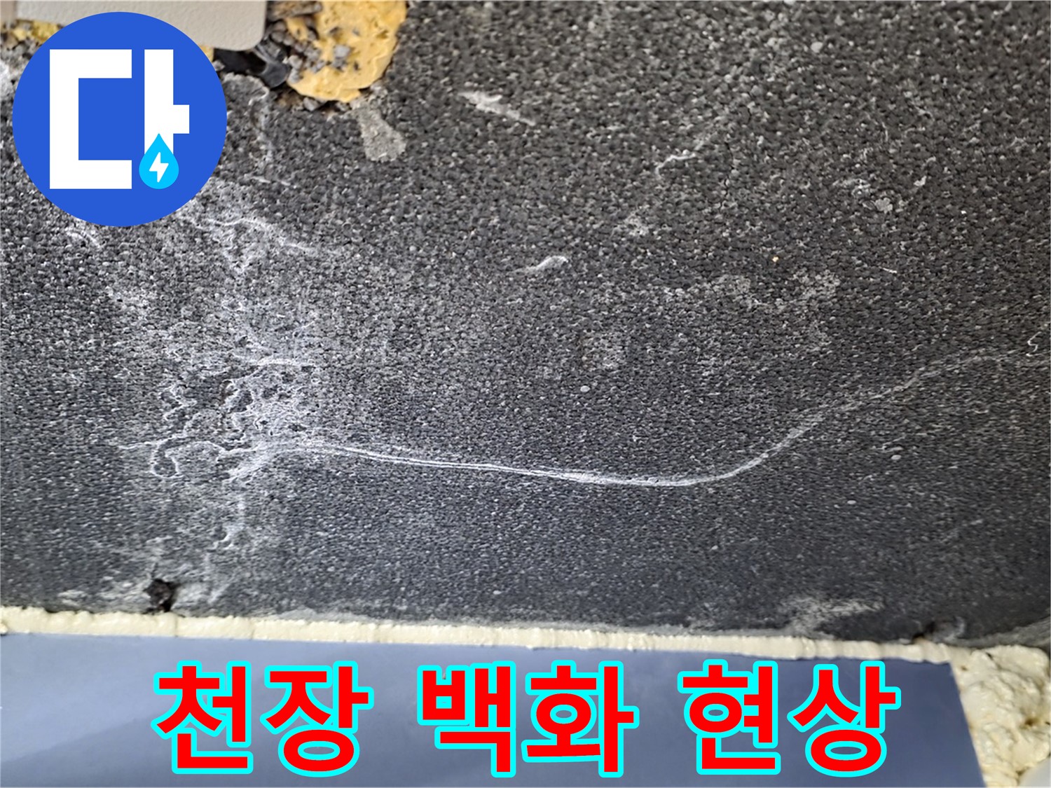 파주시 동패동 운정어반프라임 아파트 천장 누수 - 백화 현상으로 누수 확인