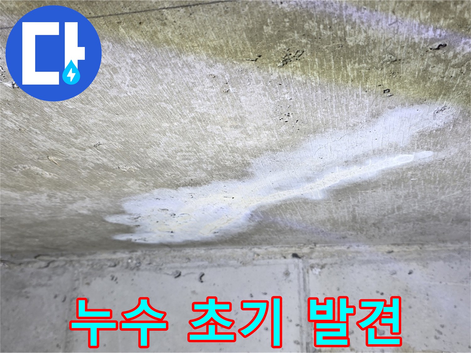 노원구 아파트 누수 - 중계동 현대5차 누수 초기 발견 - 빠른 해결 가능