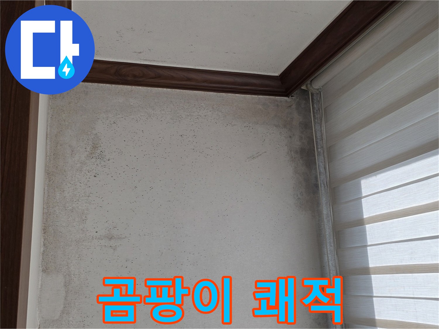 노원구 중계동 곰팡이 누수 - 깨끗하고 쾌적한 주거 환경 조성