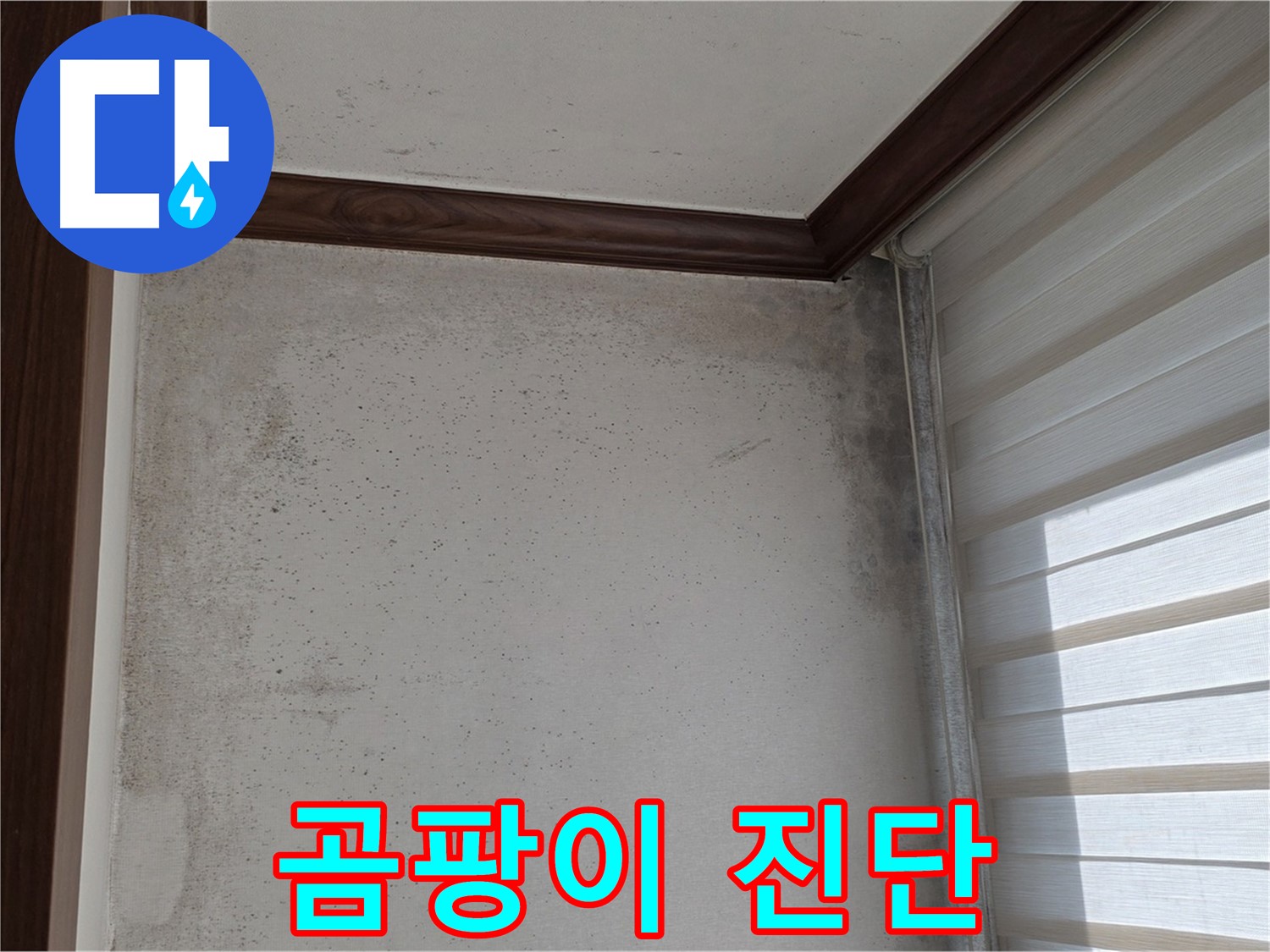 노원구 중계동 현대5차 곰팡이 누수 - 원인 진단부터 완벽 해결 책임 시공
