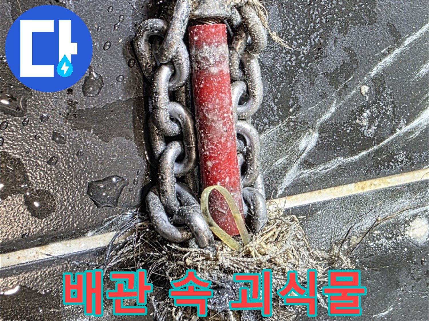 노원구 중계동 현대5차 아파트 누수 - 배관 속 '괴식물'처럼 엉켜있는 이물질 덩어리