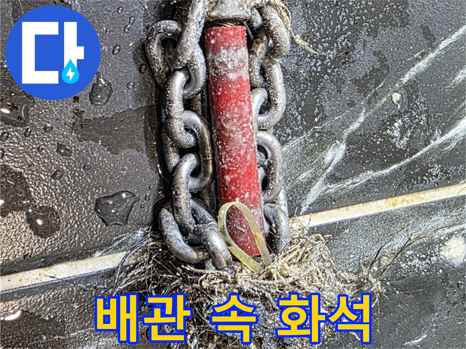 노원구 중계동 현대5차 아파트 누수 - 배관 속에서 발견된 '화석' 같은 이물질
