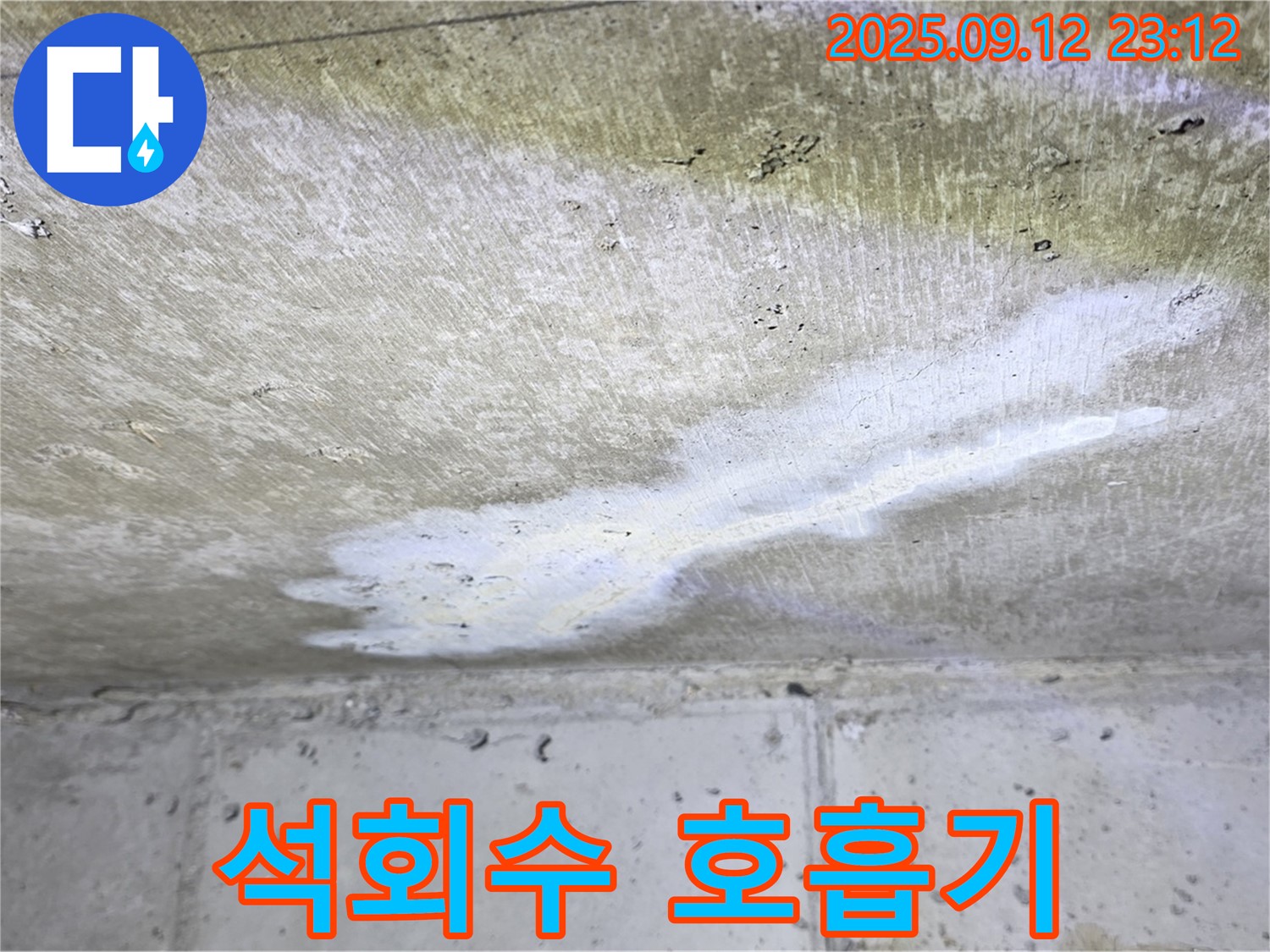 노원구 중계동 현대5차 아파트 누수 - 천장 석회수 호흡기 질환 - 긴급 해결