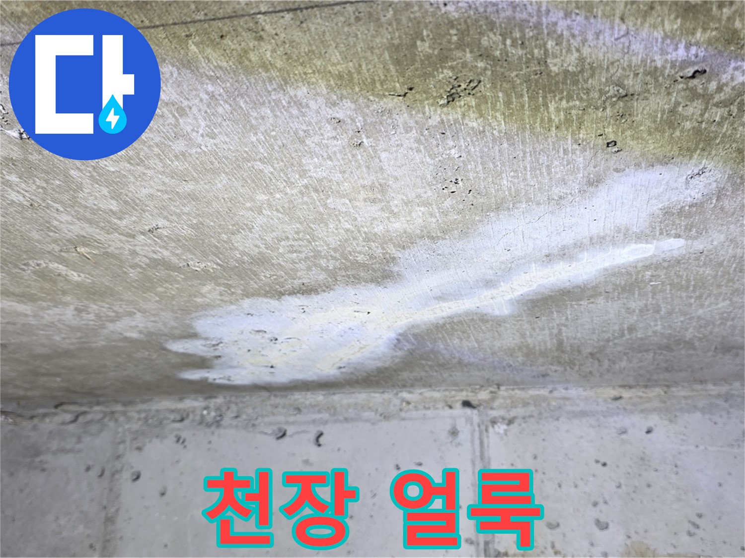 노원구 중계동 현대5차 천장 누수 - 얼룩 발생 - 누수 진행 중