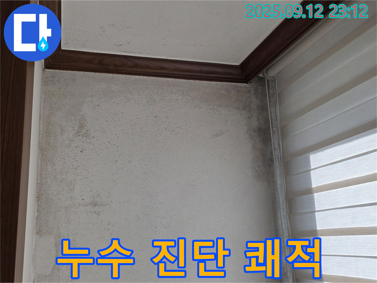 중계동 현대5차 211동 아파트 누수 현장 - 곰팡이와의 악몽을 끝내고 누수 진단 후 쾌적해진 공간을 기대하세요.