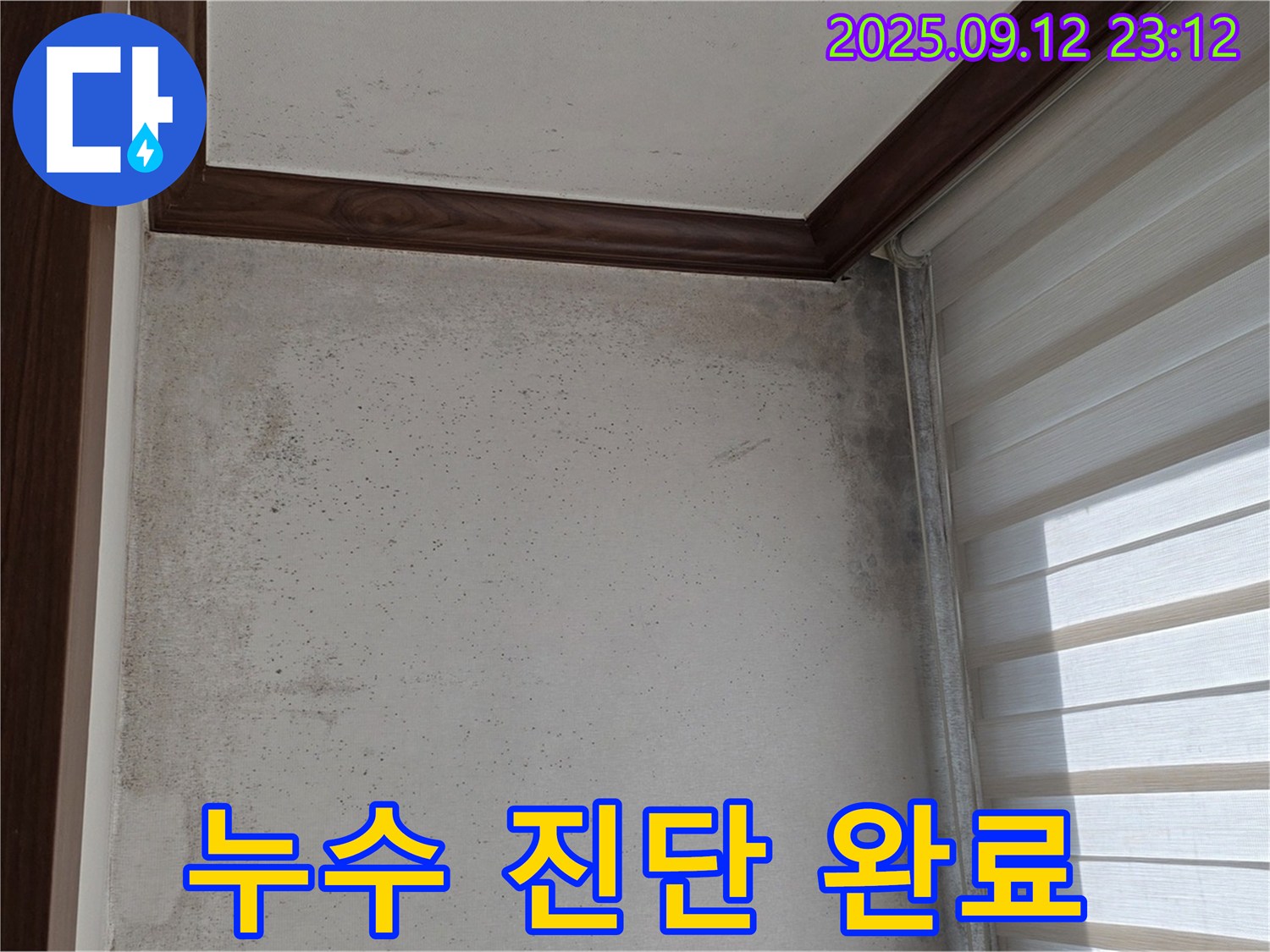 중계동 현대5차 211동 아파트 누수 현장 - 곰팡이와의 이별을 준비하며 누수 진단 작업에 착수 완료한 모습입니다.