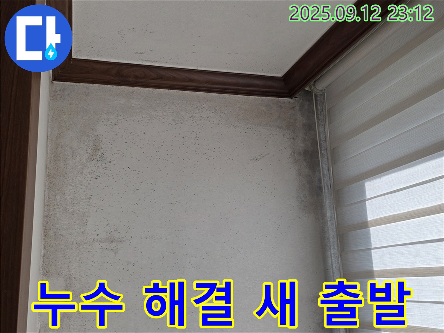 중계동 현대5차 211동 아파트 누수 현장 - 곰팡이와의 작별을 고하고 누수 해결 후 새 출발을 응원합니다.