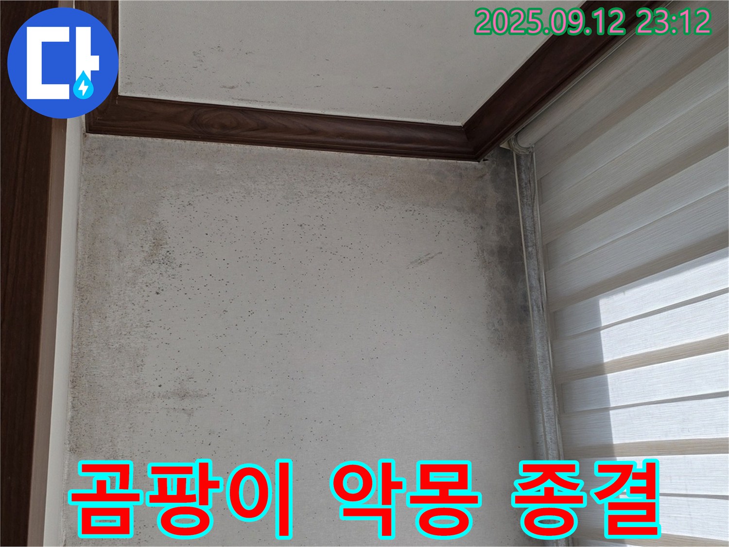 중계동 현대5차 아파트 누수 해결 - 곰팡이 악몽을 종결시키고 확실한 AS를 약속드립니다.