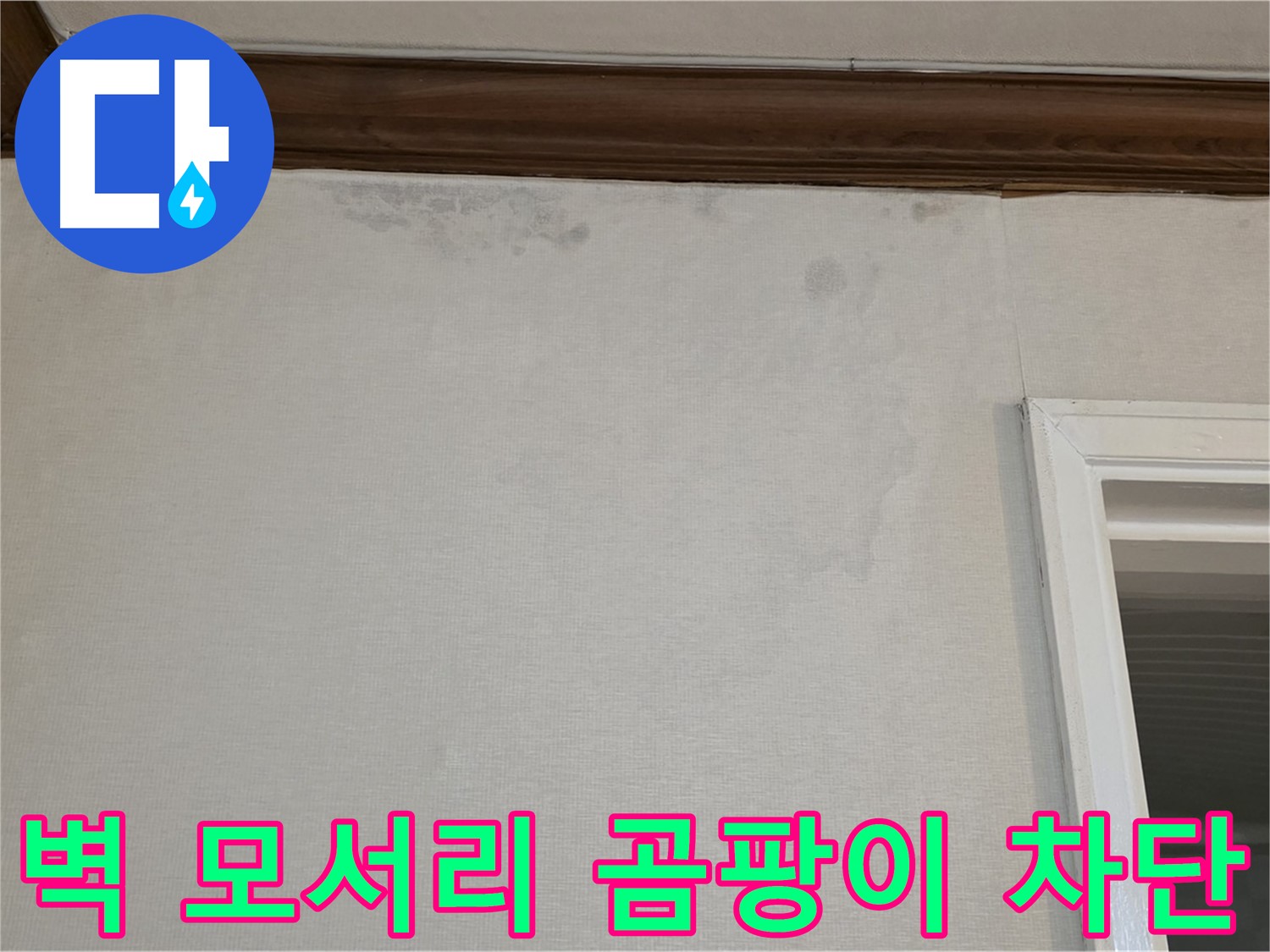 중계동 현대5차 아파트 벽 모서리 곰팡이 - 완벽한 누수 차단 공사