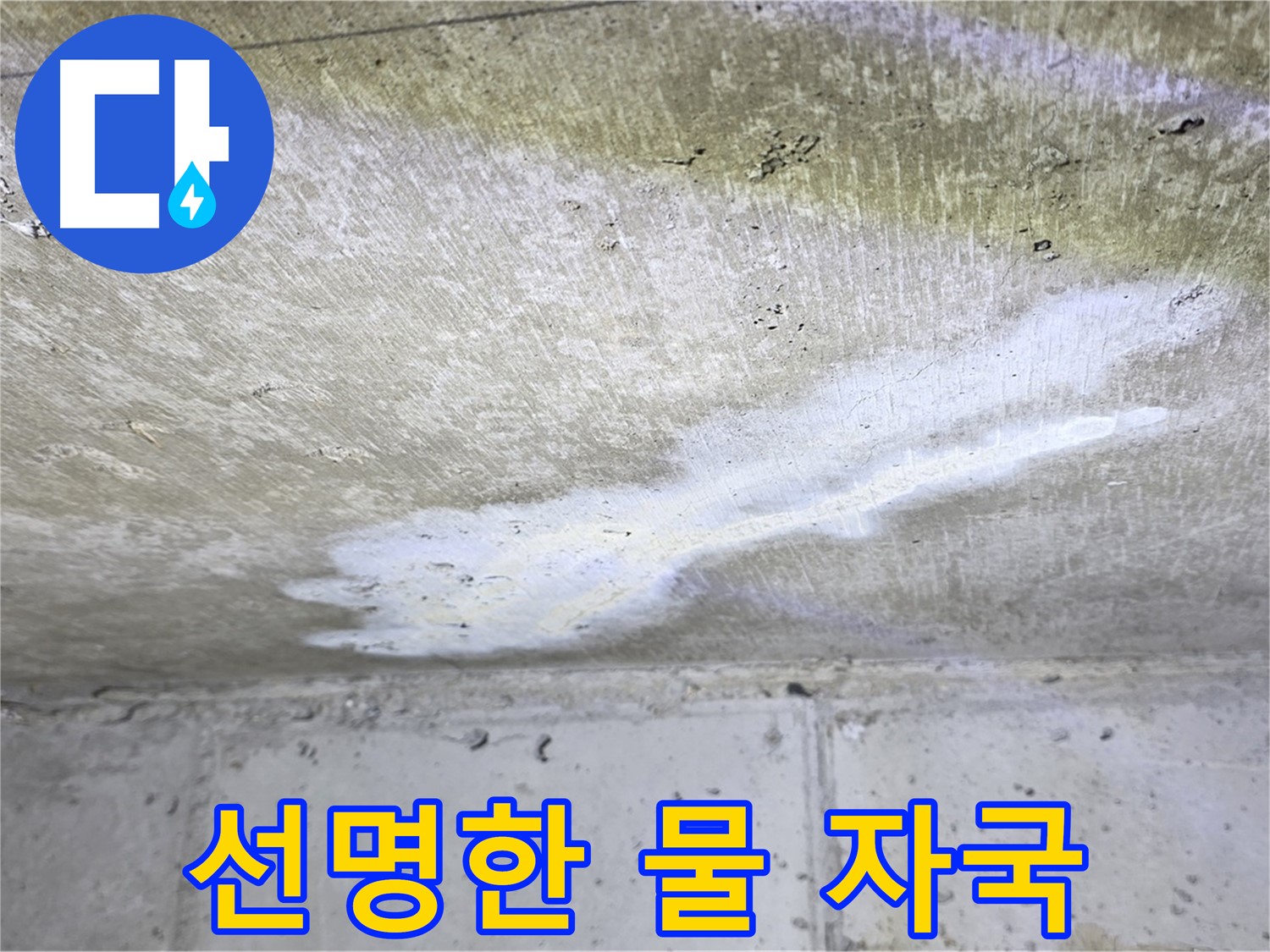 중계로8길 39 현대5차 누수 - 선명한 물 자국 확인 - 누수 심각