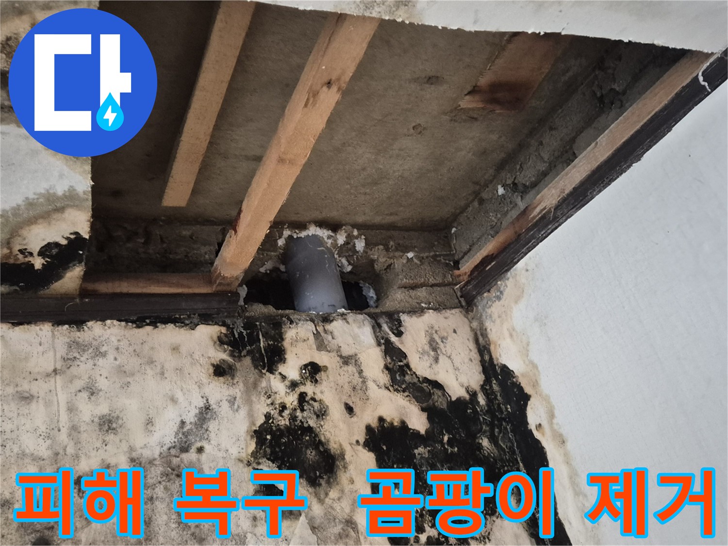 누수 피해 복구 - 곰팡이 제거 및 도배 시공