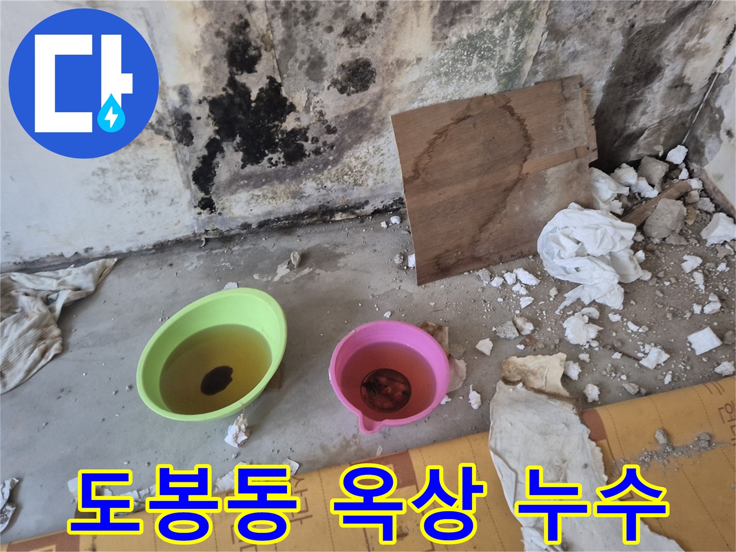 도봉구 도봉동 덕릉로54가길 누수 현장 - 옥상 바닥에 물이 고여있고 방수층이 손상된 모습입니다 - 건물 전체에 영향을 줄 수 있습니다.