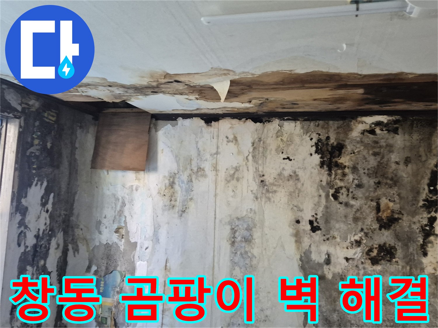 도봉구 창동 주택의 곰팡이 핀 벽면 - 긴급 누수 해결 및 곰팡이 제거 과정을 담았습니다.