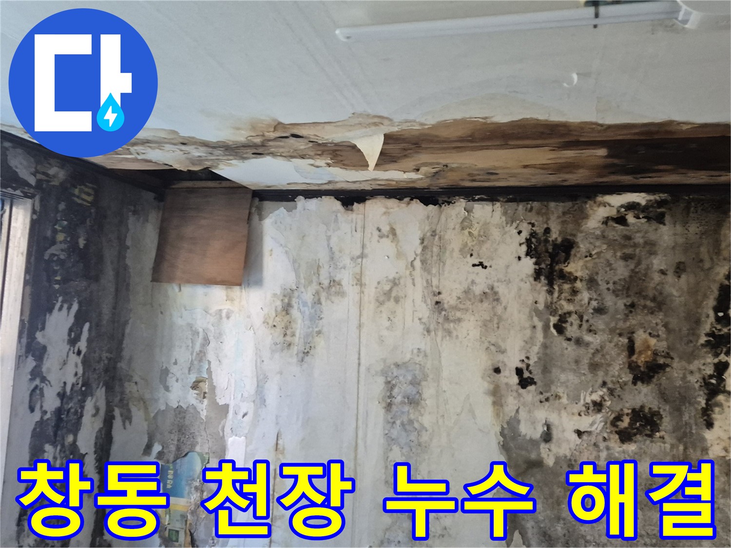 도봉구 창동 주택의 천장 누수 해결 과정 - 누수 원인 진단부터 완벽한 시공까지 꼼꼼하게 담았습니다.