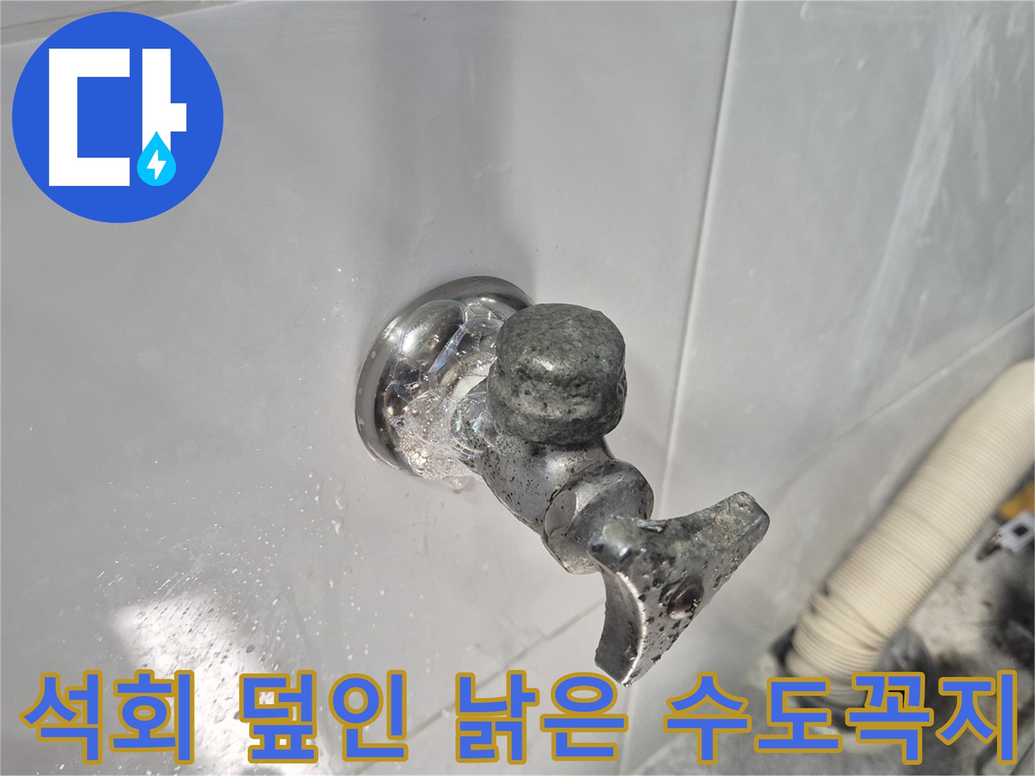 석회로 덮인 낡은 수도꼭지 교체 - 누수 해결 - 깨끗한 물 사용 - 고객 만족