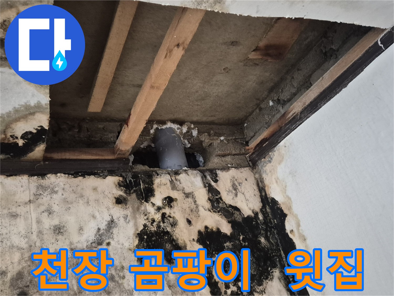 천장 곰팡이 발생 - 윗집 누수 의심, 정밀 탐지 진행