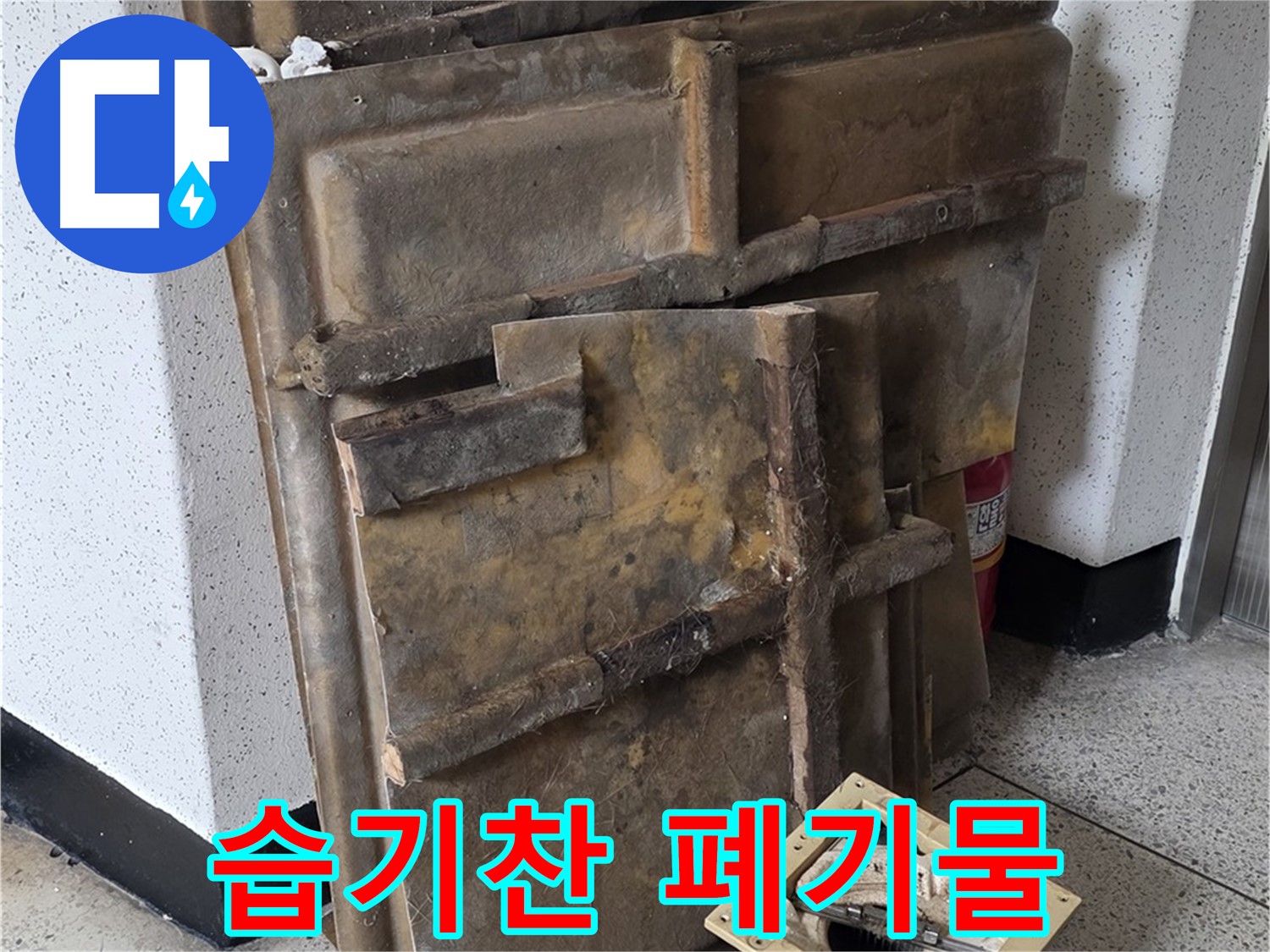 곰팡이 냄새와 습기로 가득 찬 석고보드