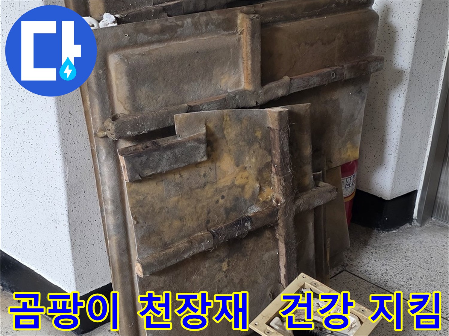 곰팡이 핀 천장재와 조명 - 가족 건강 지킴이