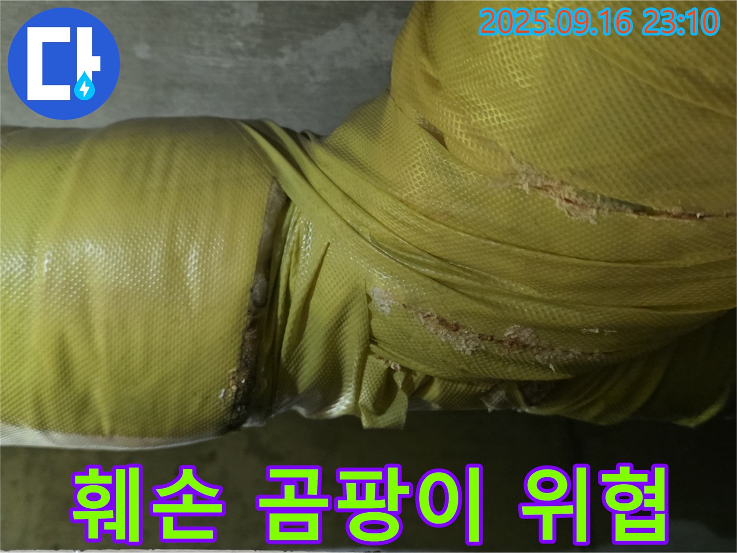 배관 보온재 훼손 부위에서 곰팡이 발생 우려가 있음을 보여줍니다 - 건강에 해로울 수 있습니다.