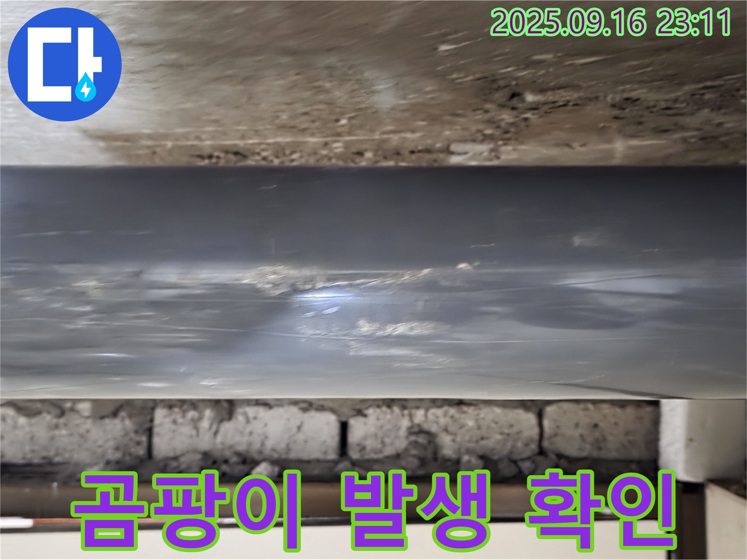 배관 연결 부위 주변에 곰팡이 발생 여부 확인 - 곰팡이는 누수의 징후일 수 있습니다.