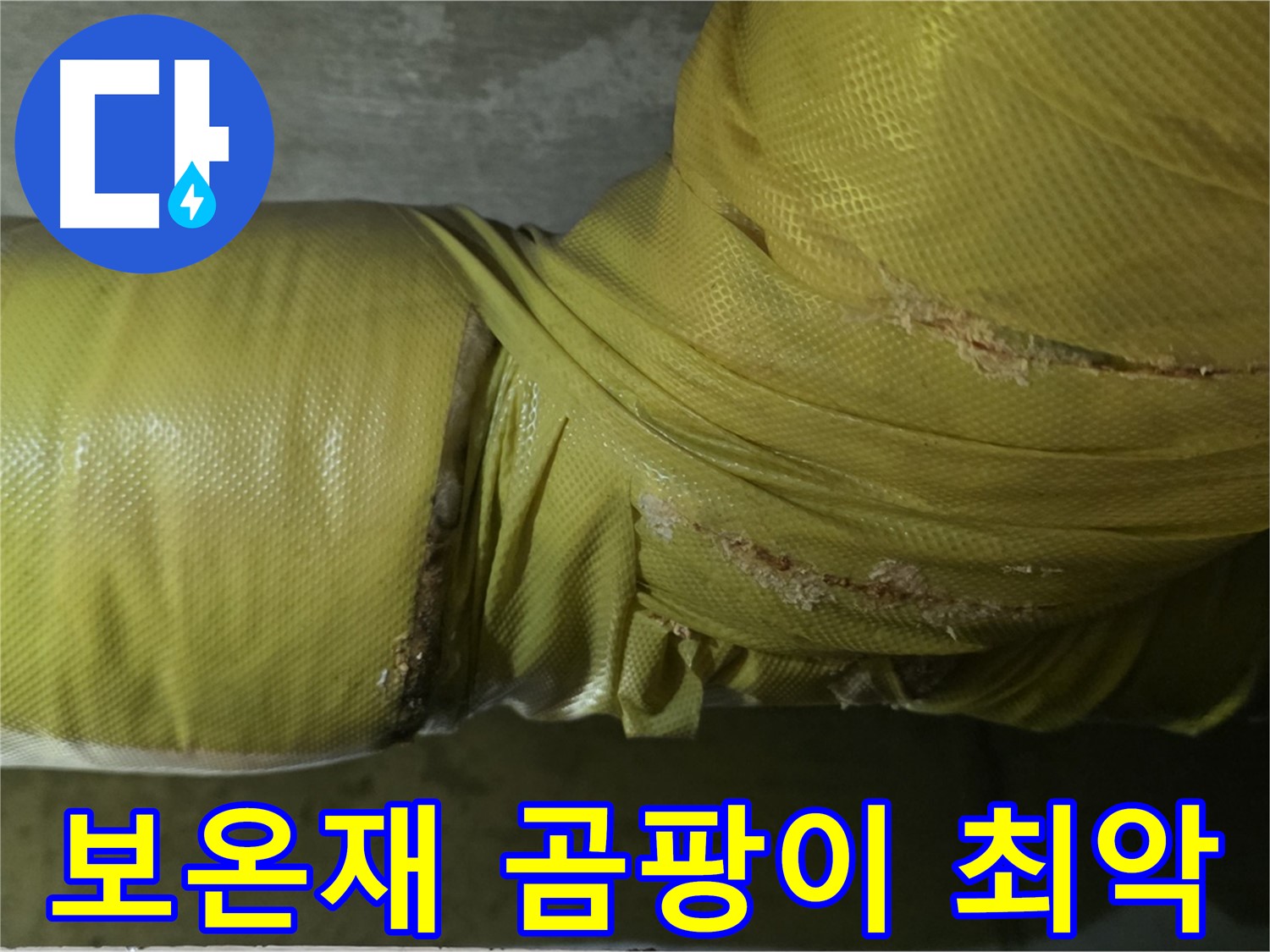 보온재 속 곰팡이 - 실내 공기 질 최악, 건강 위협, 전문적인 케어가 필요합니다.