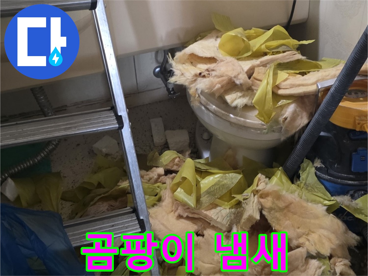 새절 누수 현장 - 물이 뚝뚝 떨어지는 배관, 곰팡이 냄새 - 건강 위협