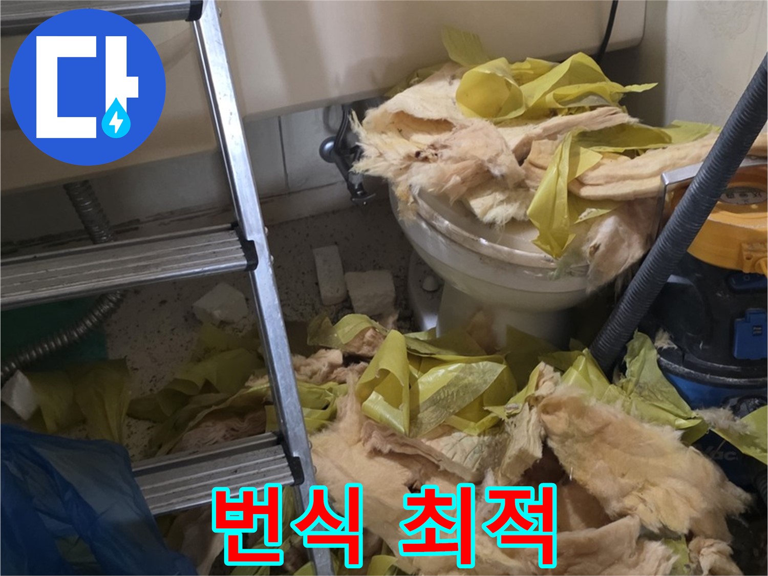 새절 누수 현장 - 젖은 보온재, 곰팡이 번식 최적 환경 - 위험