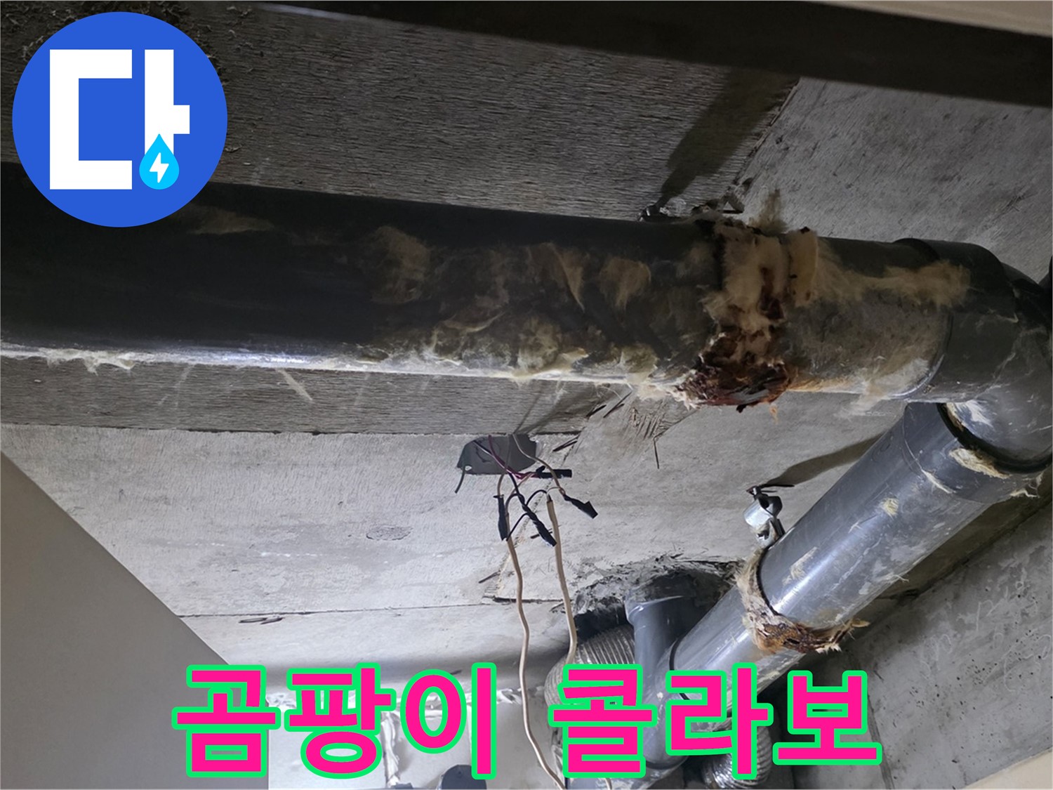 새절역 현대아파트 - 곰팡이 핀 보온재, 건강까지 위협하는 낡은 배관의 콜라보