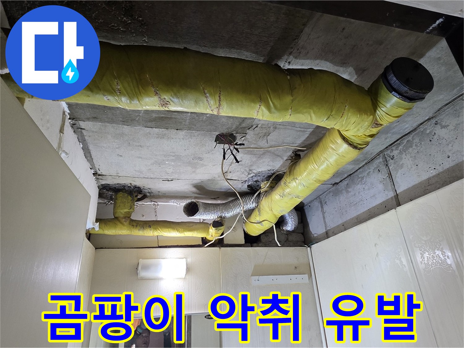 새절역 현대아파트 - 곰팡이와 악취