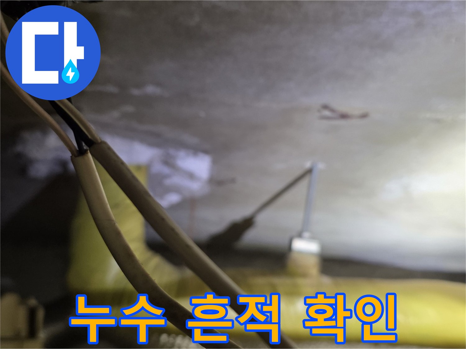 새절역 현대아파트 누수 - 천장 누수 흔적을 꼼꼼하게 확인 중
