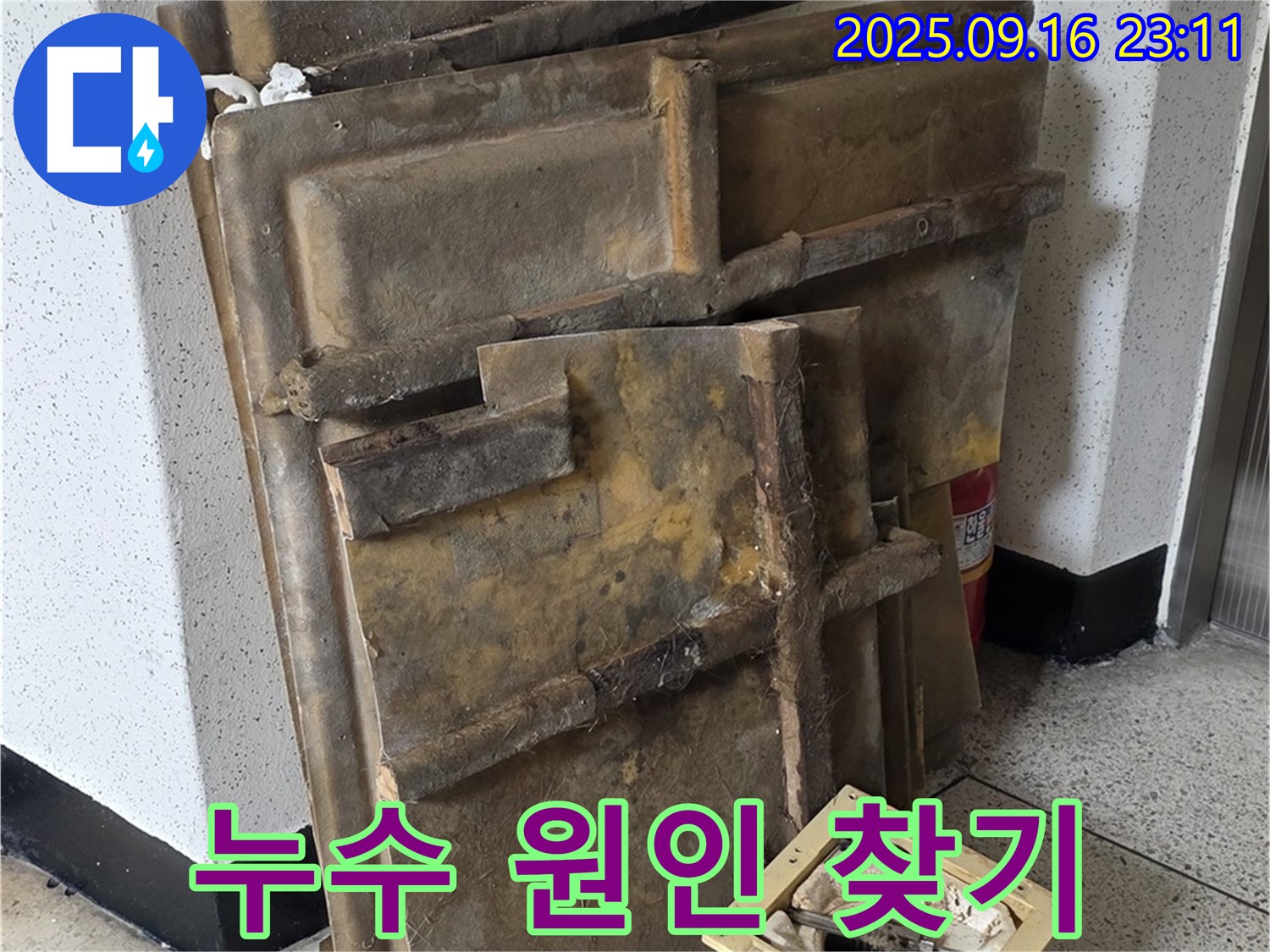 새절역 현대아파트 누수 - 텍스 제거 후 누수 원인 찾기에 집중하는 모습
