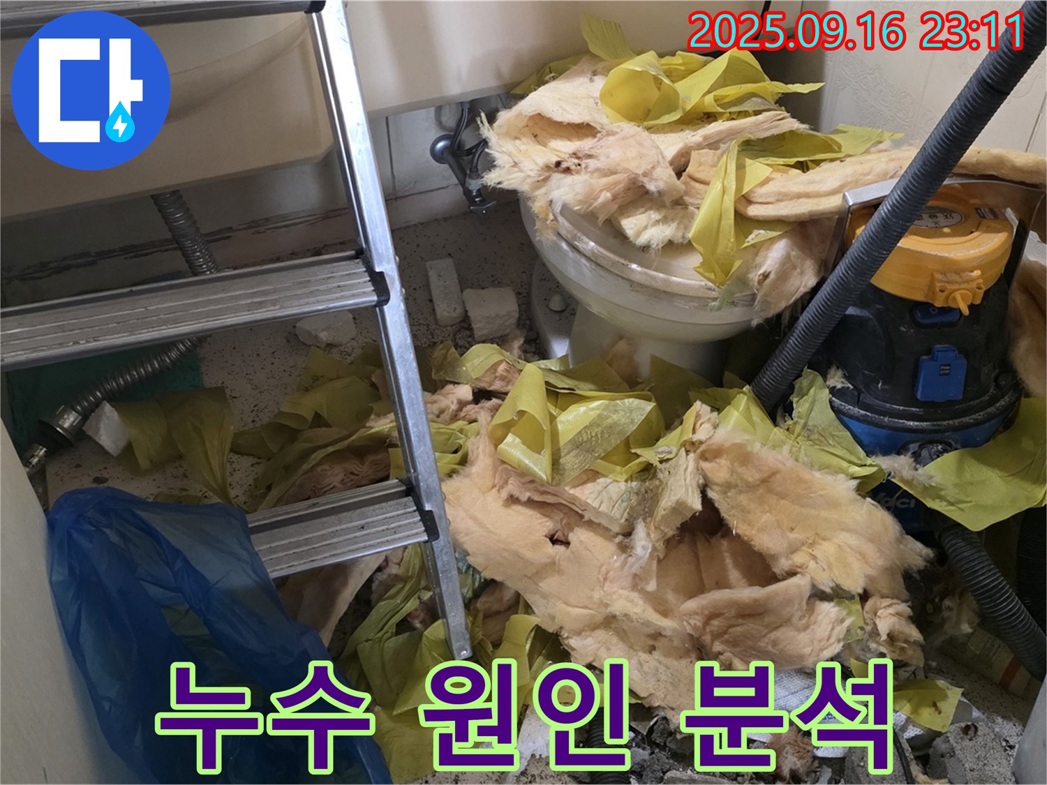 서울 은평구 신사동 새절역 현대아파트 화장실 누수 - 긴급 점검, 원인 분석 시작