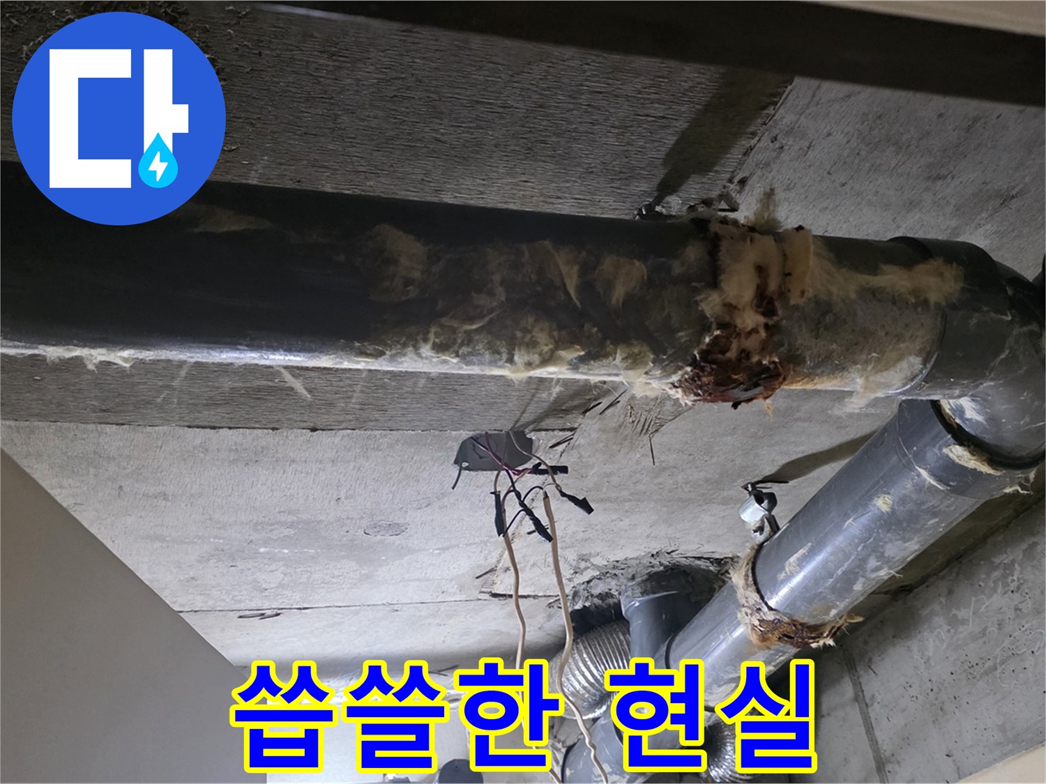 신사동 12번지 - 곰팡이 핀 보온재, 배관의 씁쓸한 현실을 보여줍니다