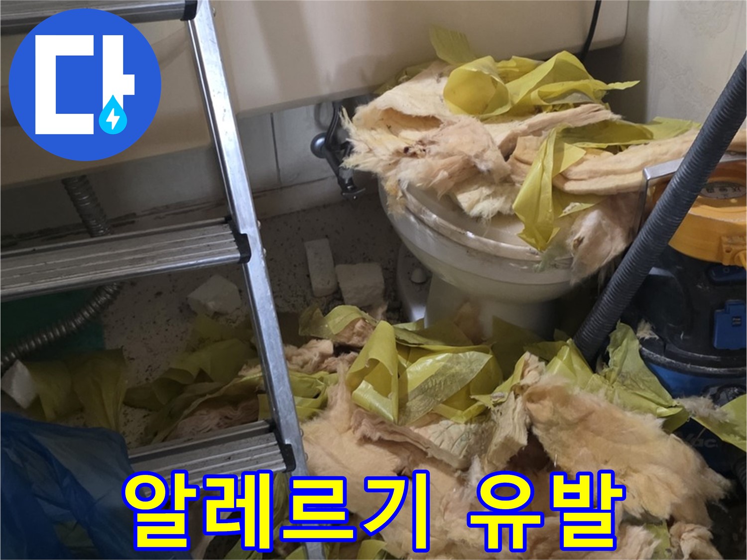 신사동 누수 현장 - 곰팡이와 먼지로 오염된 낡은 보온재 - 알레르기 유발
