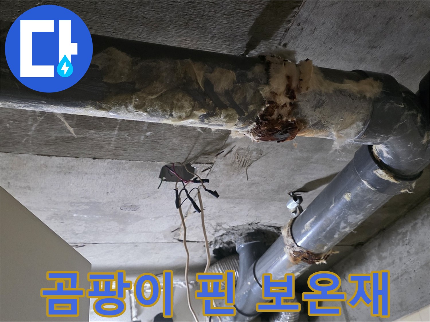 신사동 새절역현대아파트 누수 - 곰팡이 핀 낡은 오수 배관 보온재