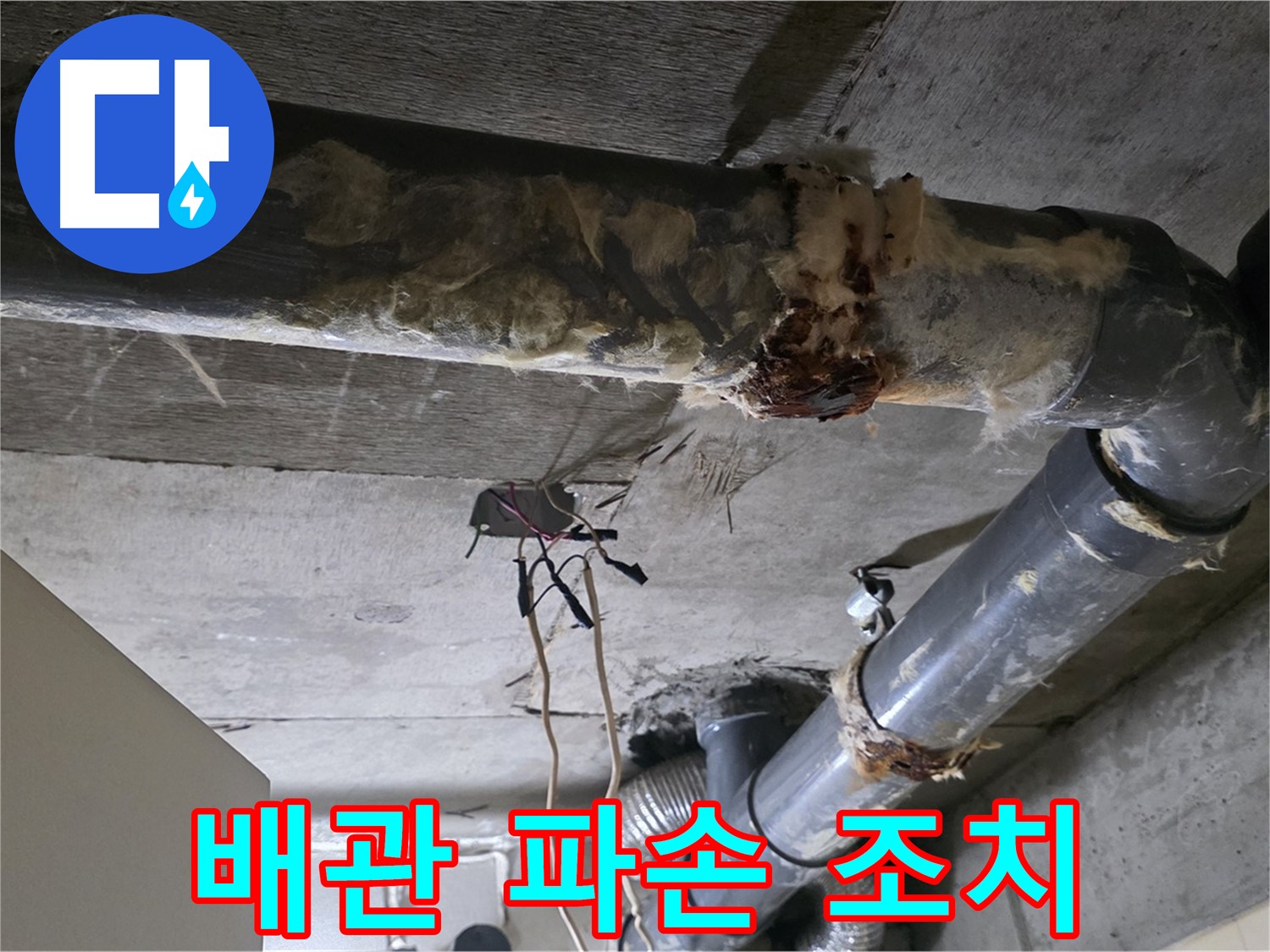 신사동 새절역현대아파트 누수 - 오수 배관 파손 2차 피해 예방