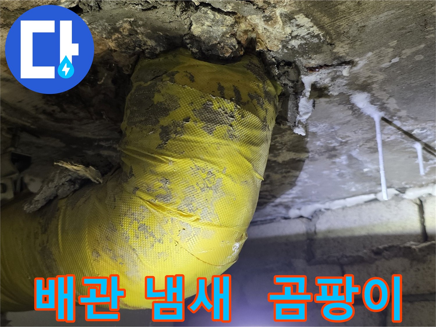 썩어가는 노란 배관 악취 - 은평구 누수, 건강 적신호, 곰팡이 천국, 긴급 점검! 출동 준비 완료!