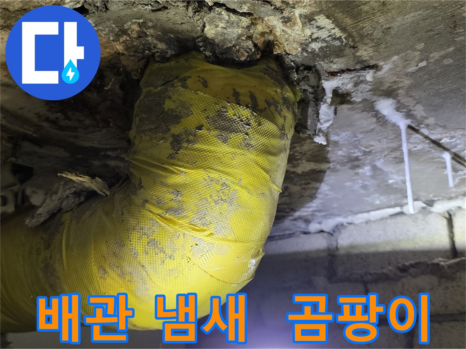 썩어가는 노란 배관 악취 - 은평구 누수, 건강 파괴, 곰팡이 아지트, 긴급 점검! 출동 준비 완료!