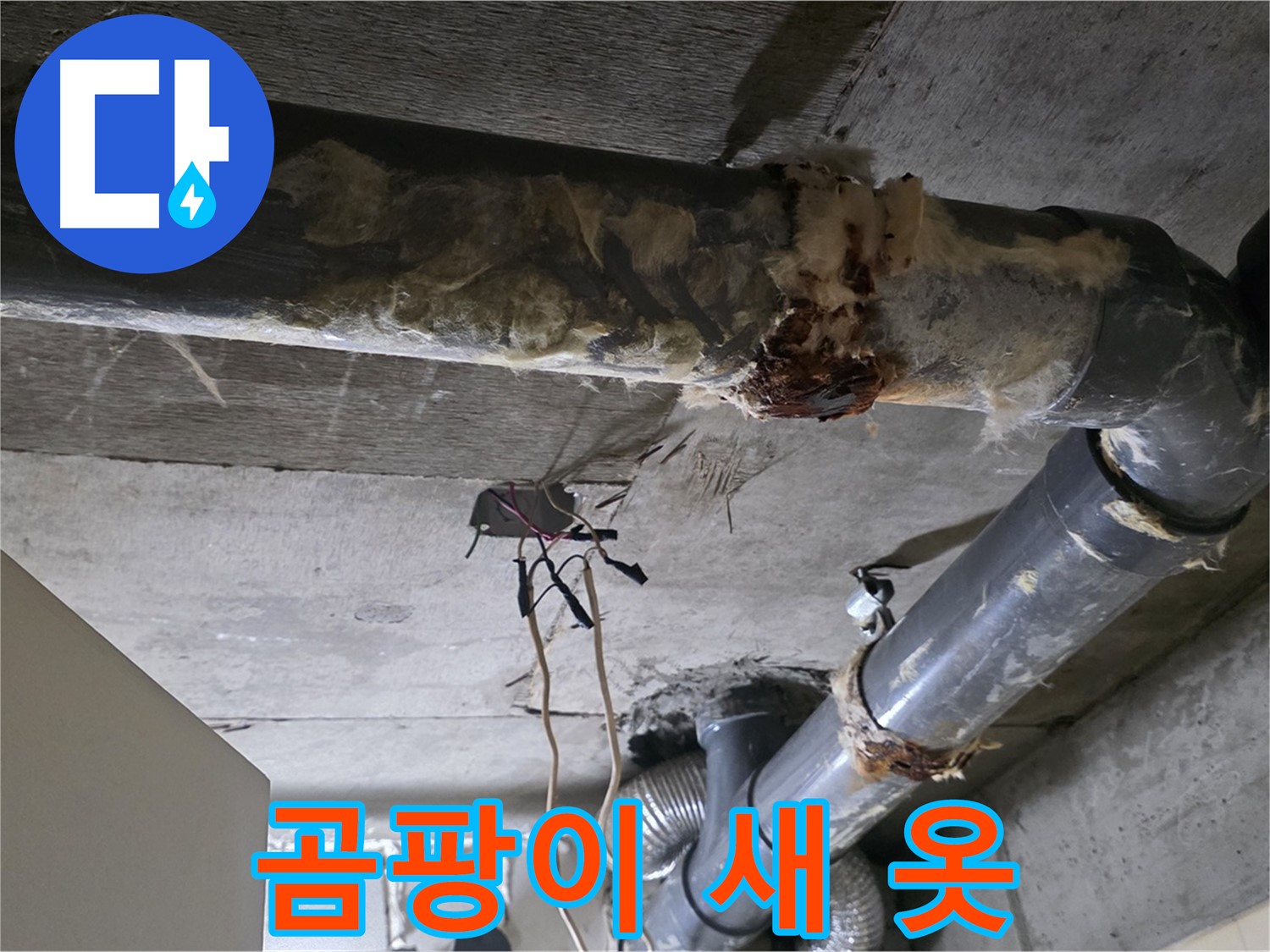 은평구 누수 - 곰팡이 핀 낡은 오수관 교체 - 새 옷 입히기