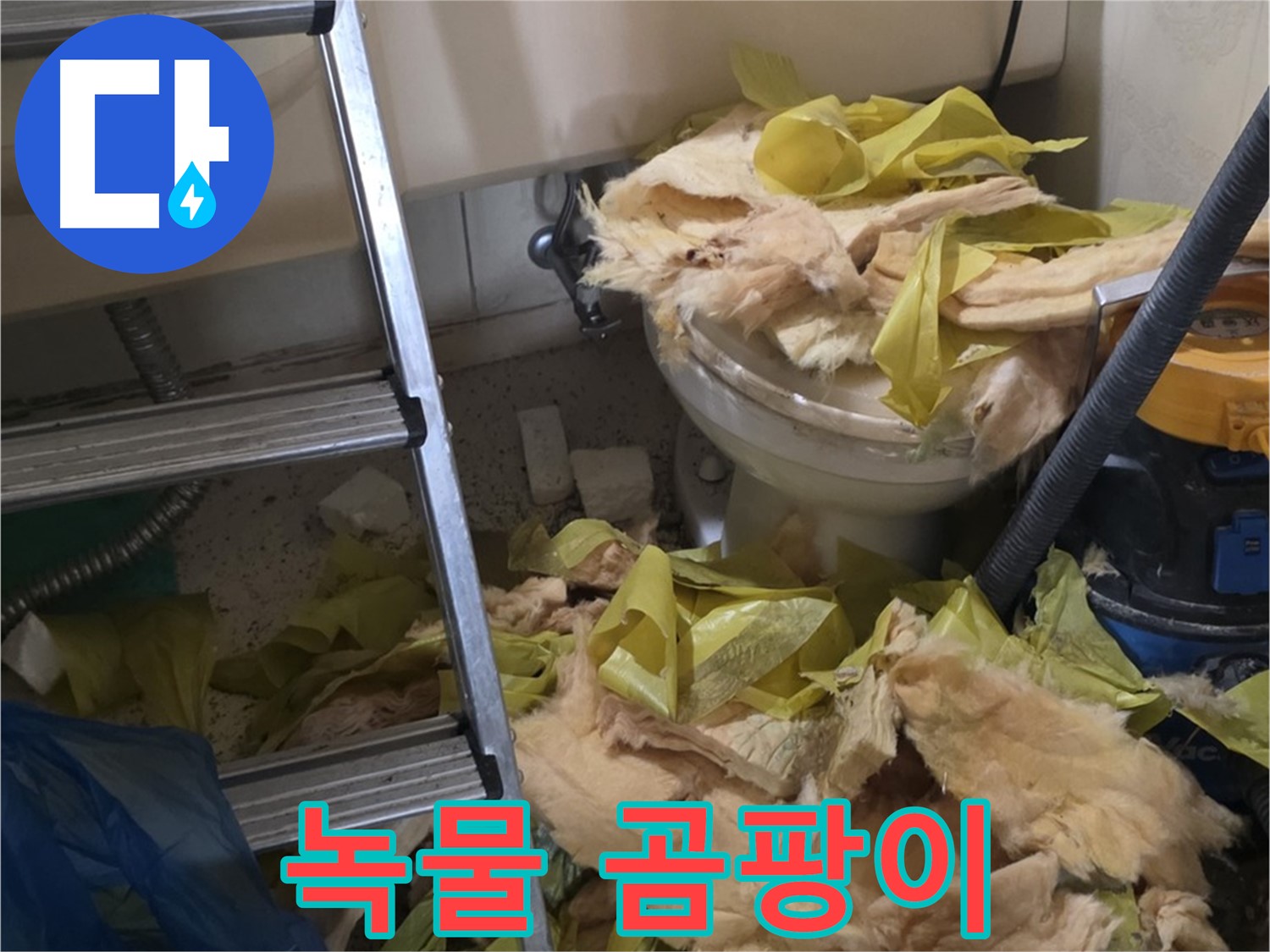 은평구 누수 현장 - 녹물과 곰팡이로 오염된 배관 - 수질 오염 비상