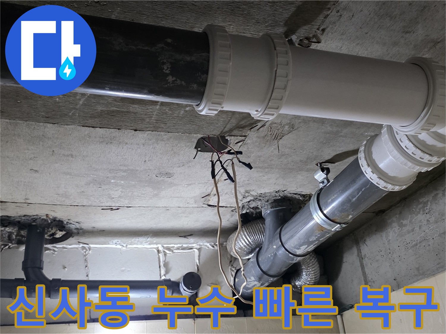 신사동 누수 피해 - 신속한 복구 작업으로 피해를 최소화!