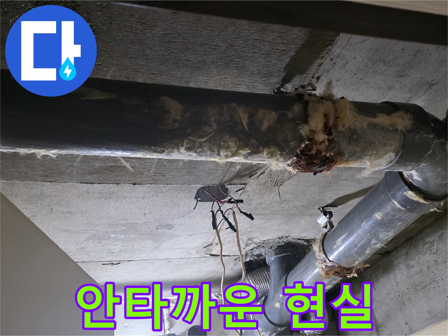 은평구 신사동 - 곰팡이 슨 보온재와 축축한 배관, 안타까운 현실을 마주하다