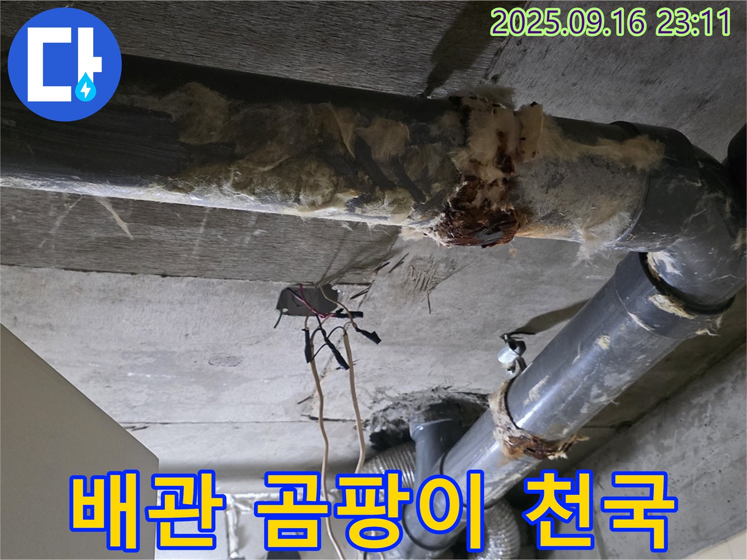 은평구 신사동 새절역 현대아파트 누수 - 낡은 배관은 곰팡이에게는 천국과 같습니다.
