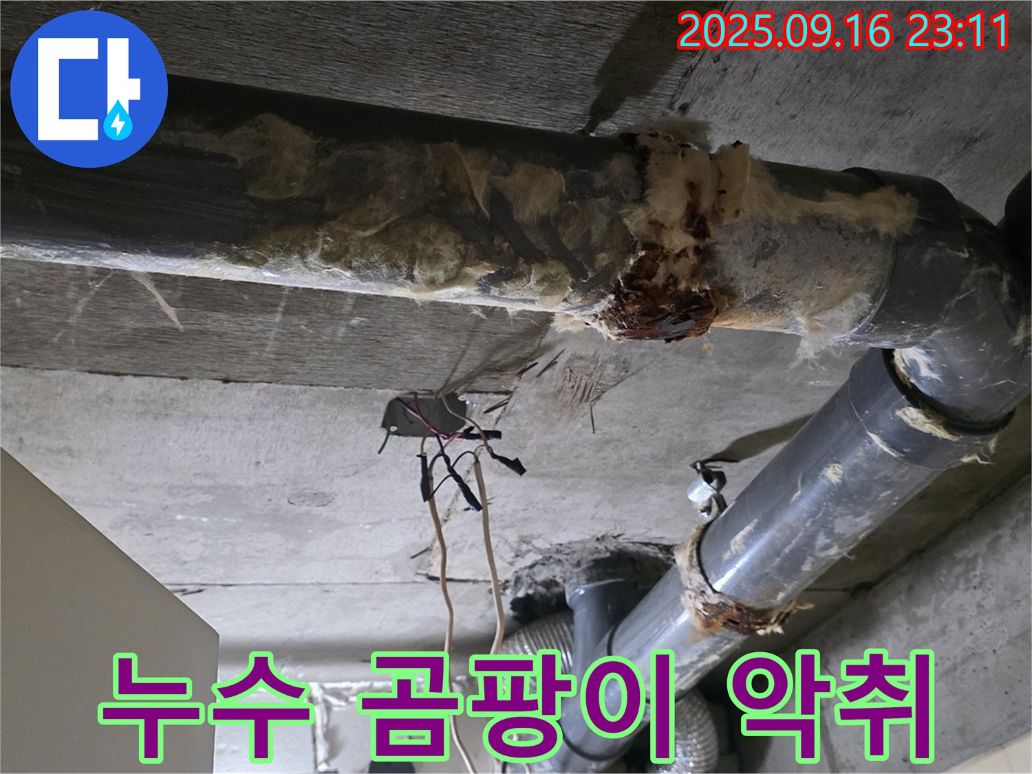 은평구 신사동 새절역 현대아파트 누수 - 누수, 곰팡이, 악취 삼박자가 함께 나타나는 최악의 상황입니다.