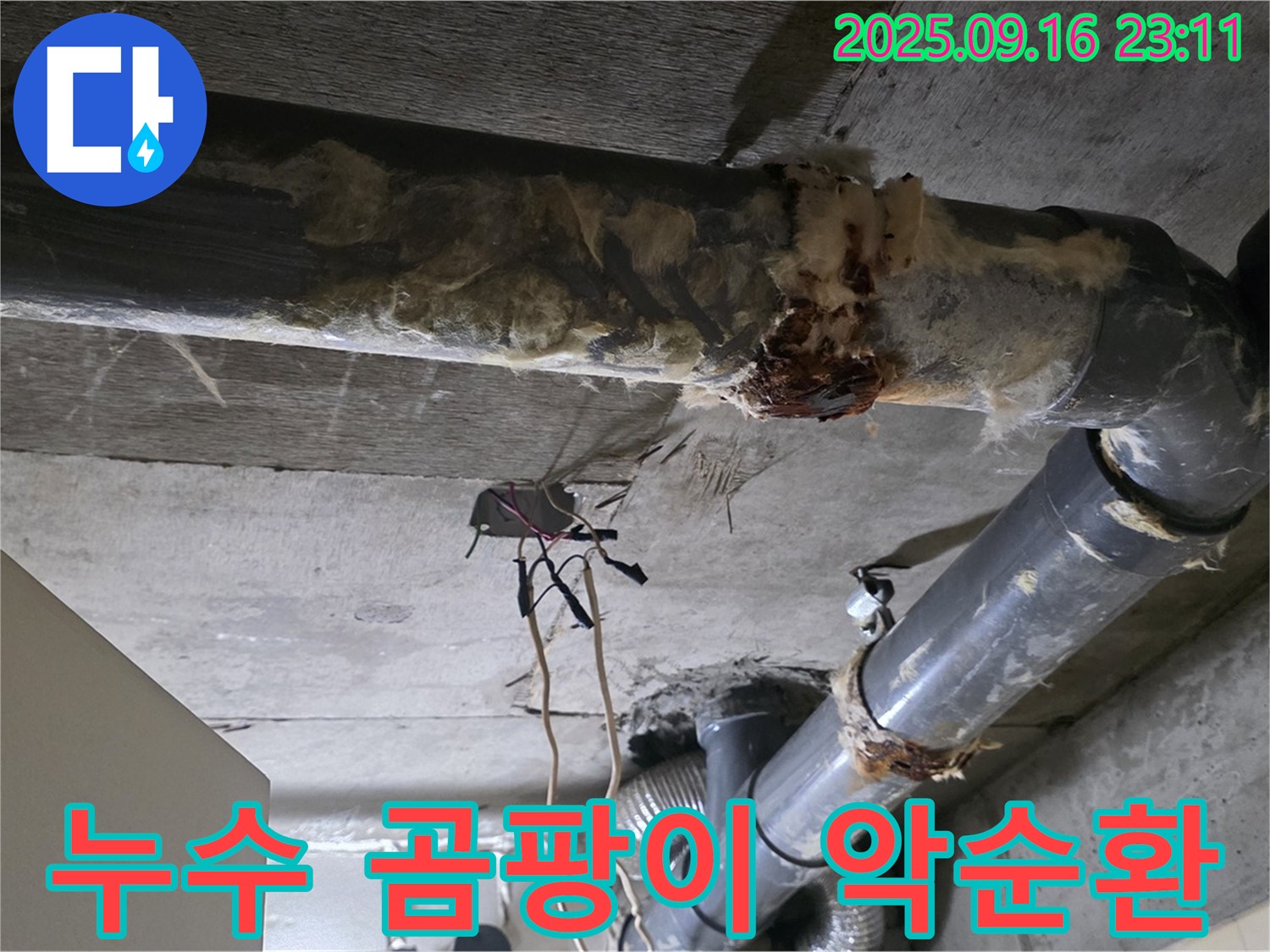 은평구 신사동 새절역 현대아파트 누수 - 누수와 곰팡이는 악순환의 고리를 만듭니다.